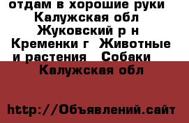 отдам в хорошие руки - Калужская обл., Жуковский р-н, Кременки г. Животные и растения » Собаки   . Калужская обл.